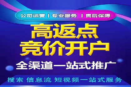 百度竞价广告投放全解析：成功案例揭秘
